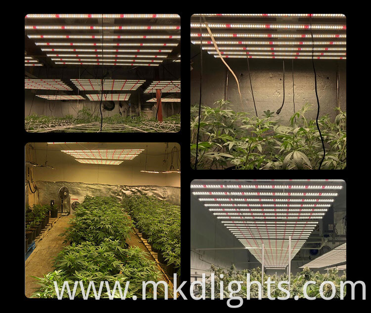 Garden Grow Light